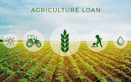Agriculture Loan